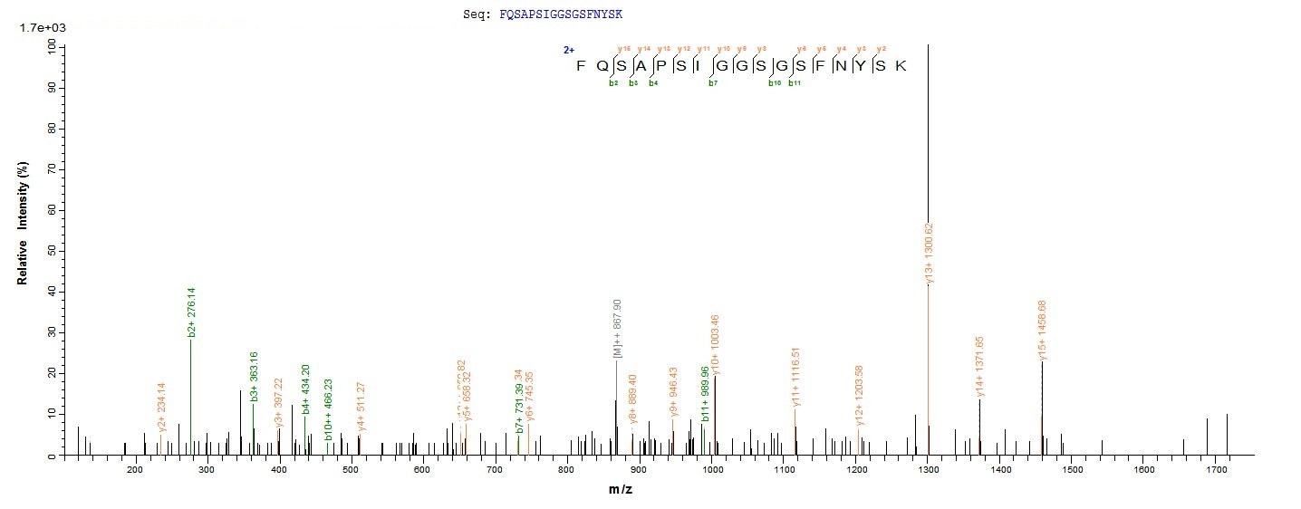 Bacteria hlgA protein
