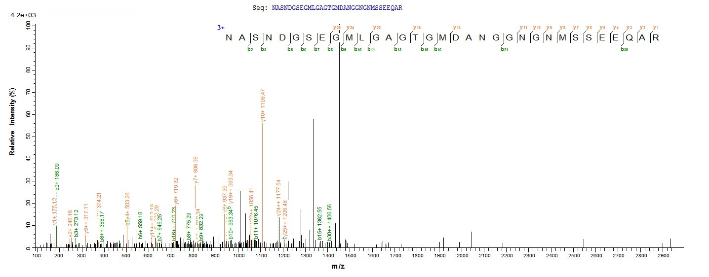 E. coli pal protein