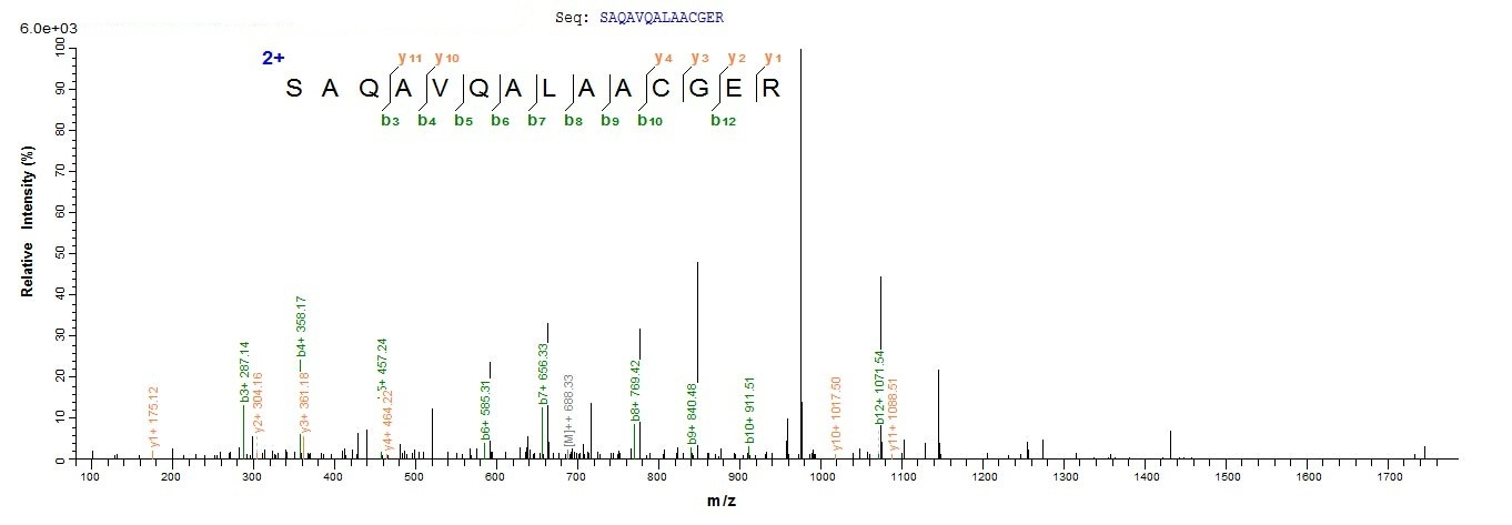 Bacteria grxD protein