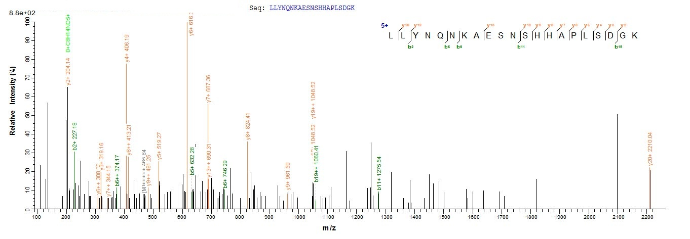 Fungi sar protein
