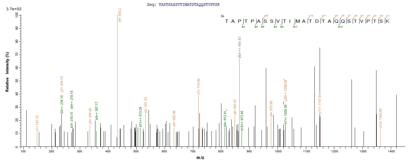 Human PODXL protein