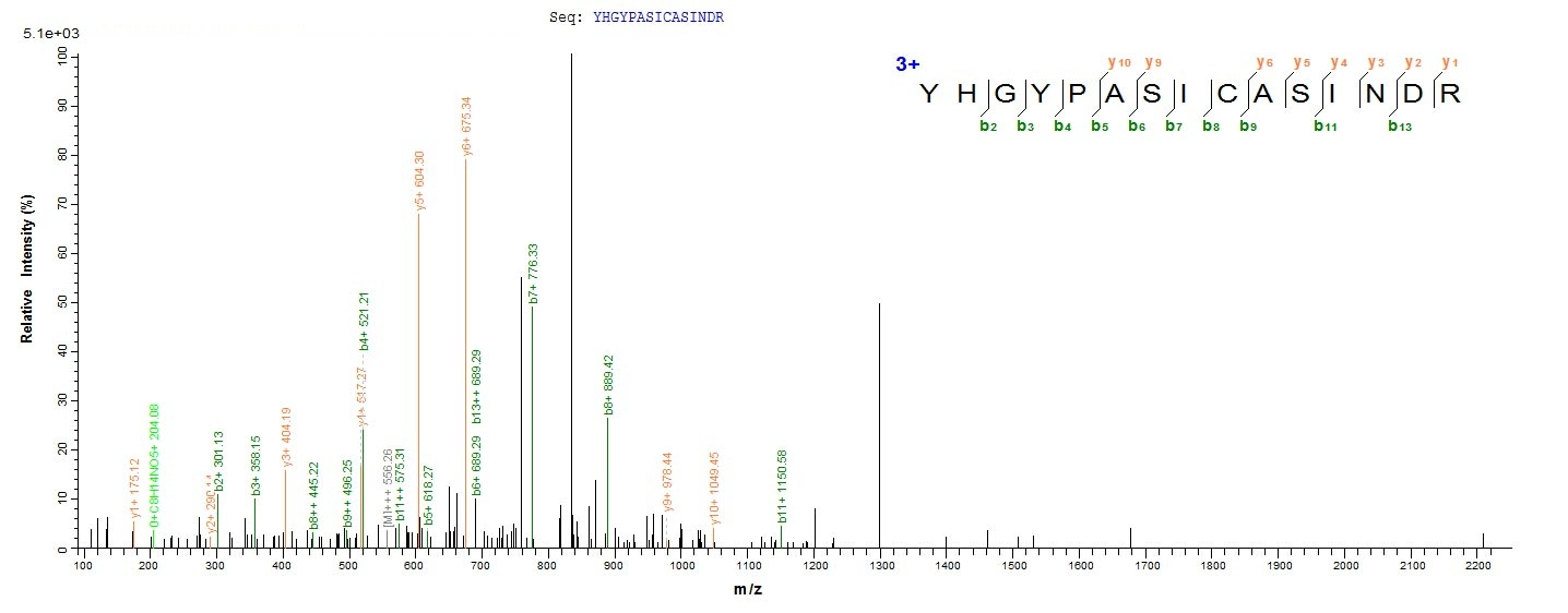 Virus map-1 protein