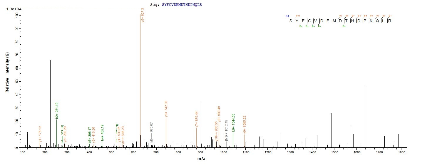 Virus M protein