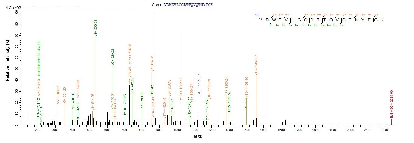 Recombinant Aspergillus fumigatus Probable glycosidase crf1 (crf1), partial