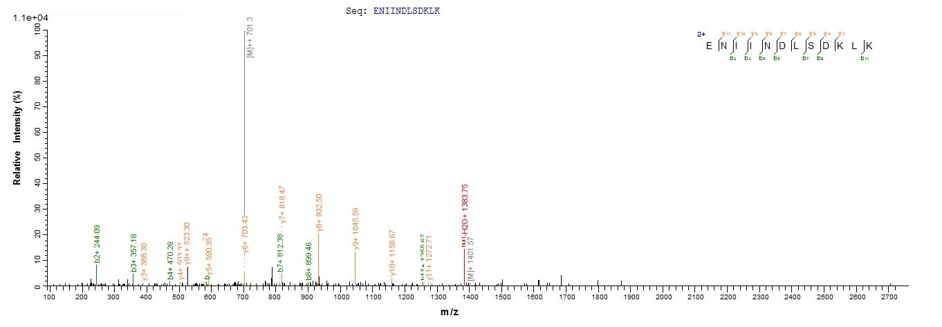 Human RB1CC1 protein