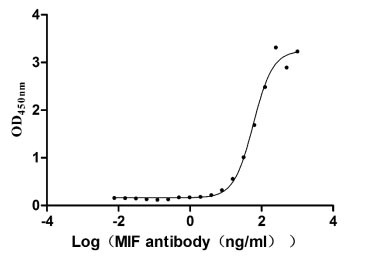 Human MIF protein