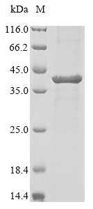 Fish CHRNA1 protein