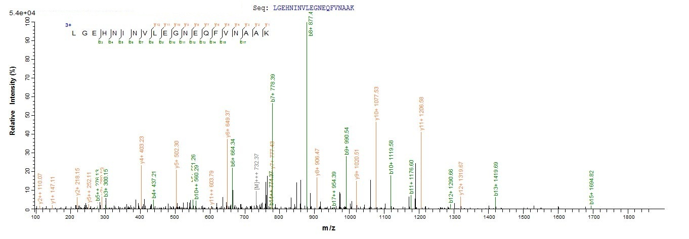 Rat Prss2 protein