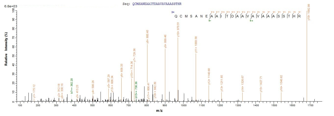 Virus VACWR156 protein