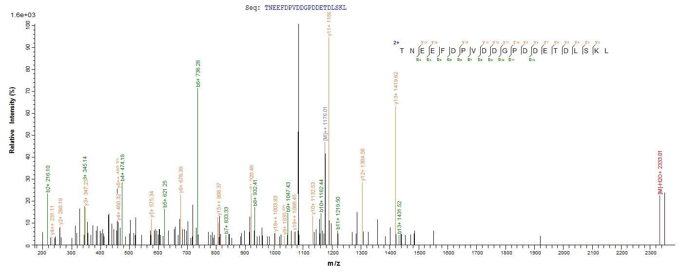 Virus PS/HR protein