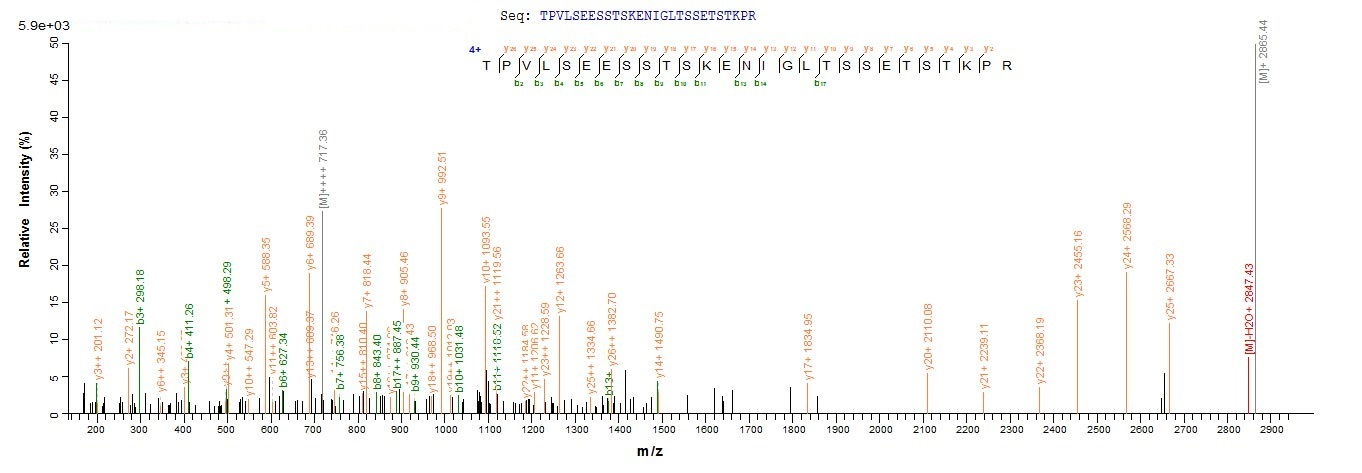 Bacteria Moraxella bovis Fimbrial protein 1 protein