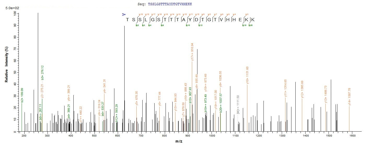 Plant XERO1 protein