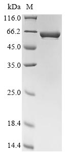 pucL protein