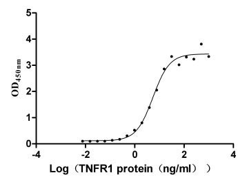 Human LTA protein