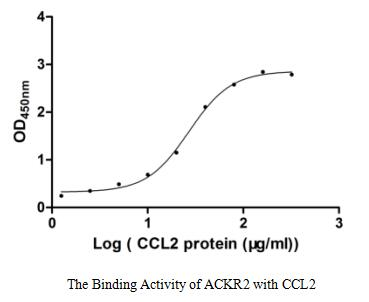 Human ACKR2 protein