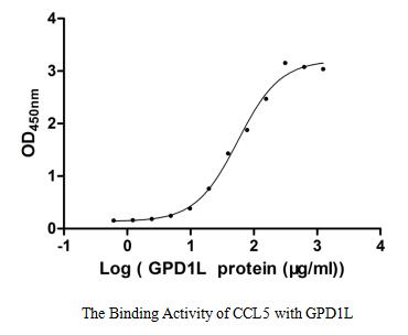 Human GPD1L protein