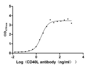 Human CD40LG protein