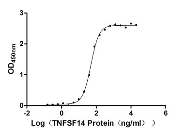 Human TNFSF14 protein