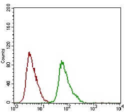 DRP1 Mouse mAb