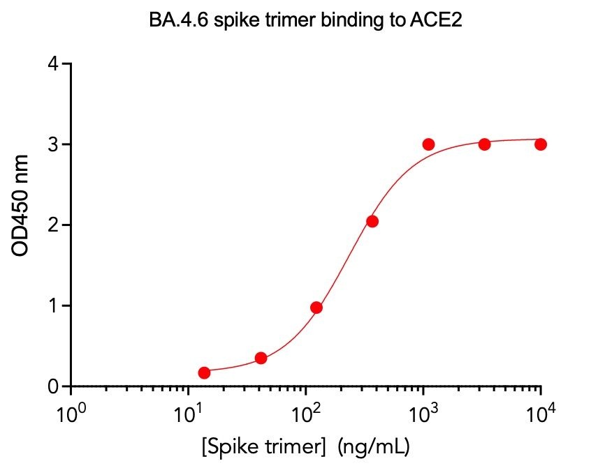 SARS-CoV-2 BA.4.6 Omicron Variant Recombinant Spike Trimer His Tag