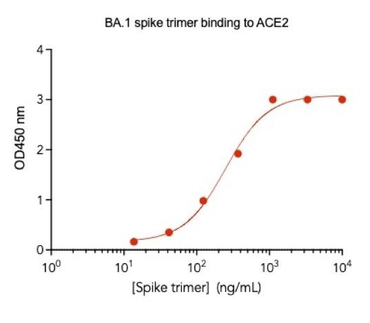 SARS-CoV-2 BA.2 (B.1.1.529) Variant Recombinant Spike Trimer His Tag
