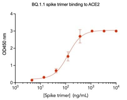 SARS-CoV-2 BQ.1.1 Omicron Variant Recombinant Spike Trimer His Tag