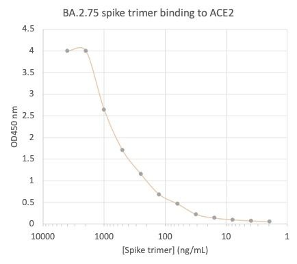 SARS-CoV-2 BA.2.75 Variant Recombinant Spike RBD His Tag-20