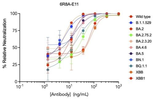 SARS-CoV-2 6R8A-E11 human neutralizing mAb Antibody