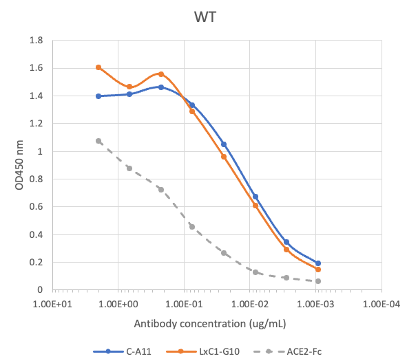 SARS-CoV2 LxC1-G10 human neutralizing mAb