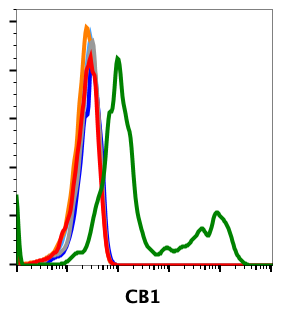 Cannabinoid Receptor (CB1) (H6) rabbit mAb Antibody