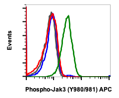 Phospho-Jak3 (Tyr980/981) (E10) rabbit mAb APC Conjugate Antibody