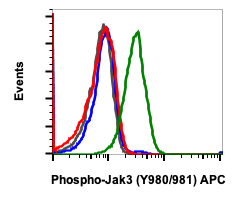 Phospho-Jak3 (Tyr980/981) (E10) rabbit mAb APC Conjugate
