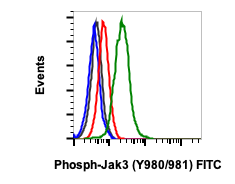 Phospho-Jak3 (Tyr980/981) (E10) rabbit mAb FITC Conjugate Antibody