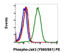Phospho-Jak3 (Tyr980/981) (E10) rabbit mAb PE Conjugate Antibody