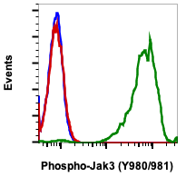 Phospho-Jak3 (Tyr980/981) rabbit mAb Antibody