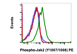 Phospho-Jak2 (Tyr1007/1008) (PB6) rabbit mAb PE Conjugate Antibody
