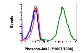 Phospho-Jak2 (Tyr1007/1008) (PB6) rabbit mAb Antibody