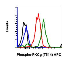 Phospho-PKC (pan) (gamma Thr514) (PF4) rabbit mAb APC conjugate Antibody