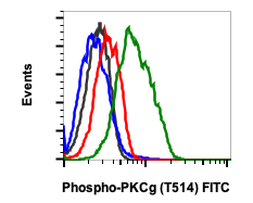 Phospho-PKC (pan) (gamma Thr514) (PF4) rabbit mAb FITC conjugate Antibody