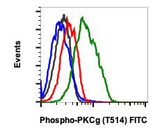 Phospho-PKC (pan) (gamma Thr514) (PF4) rabbit mAb FITC conjugate