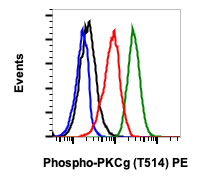 Phospho-PKC (pan) (gamma Thr514) (PF4) rabbit mAb PE conjugate Antibody