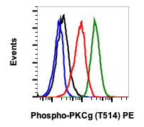 Phospho-PKC (pan) (gamma Thr514) (PF4) rabbit mAb PE conjugate
