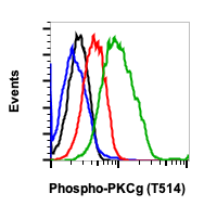 Phospho-PKC (pan) (gamma Thr514) (PF4) rabbit mAb
