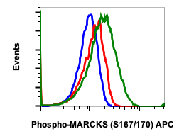 Phospho-MARCKS (Ser167/170) (C9) rabbit mAb FITC conjugate Antibody