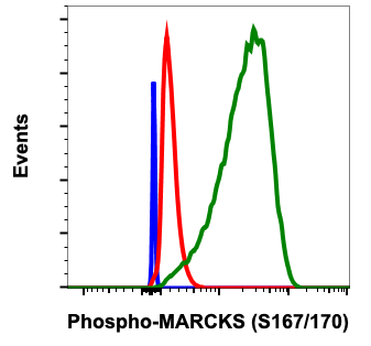 Phospho-MARCKS (Ser167/170) (C9) rabbit mAb Antibody