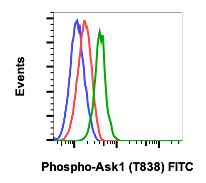 Phospho-Ask1 (Thr838) (8D12) rabbit mAb FITC Conjugate Antibody