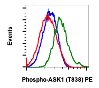 Phospho-Ask1 (Thr838) (8D12) rabbit mAb PE Conjugate Antibody