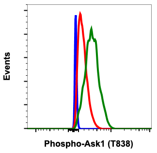 Phospho-Ask1 (Thr838) (8D12) rabbit mAb Antibody