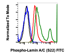 Phospho-Lamin A/C (Ser22) (CF12) rabbit mAb FITC conjugate Antibody