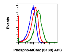 Phospho-MCM2 (Ser139) (B12) rabbit mAb APC conjugate Antibody